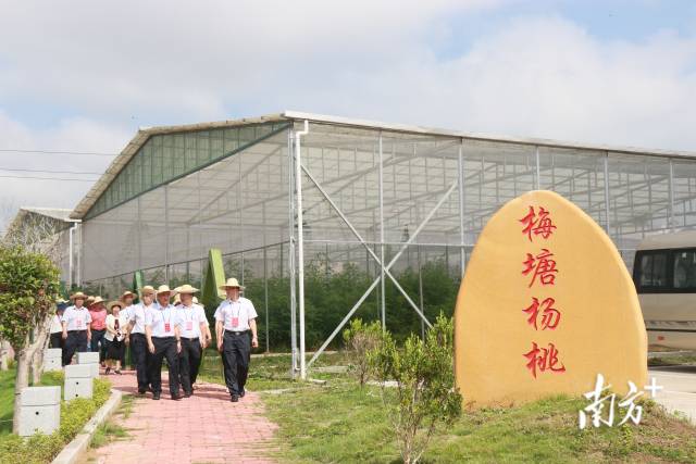 轉存圖片