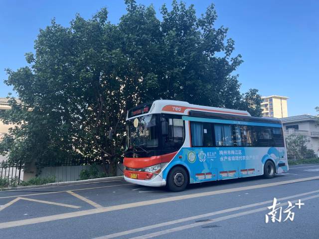 龍東社區(qū)結(jié)束了不通公交車的歷史。魏麗文 攝