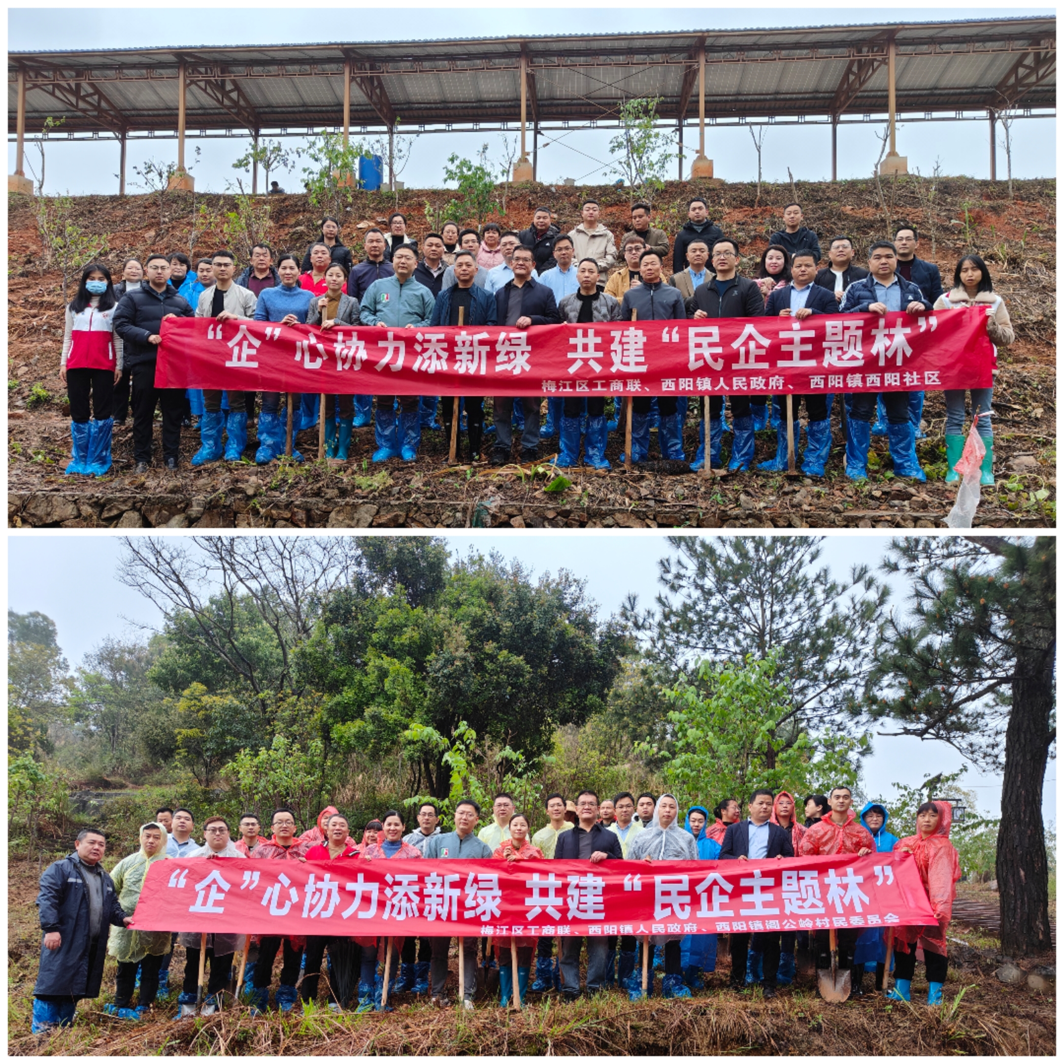 2024.3.11植樹相片2.jpg