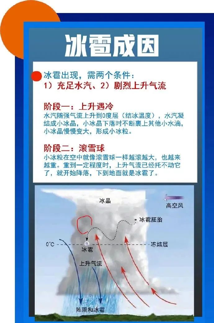 4401660.jpg