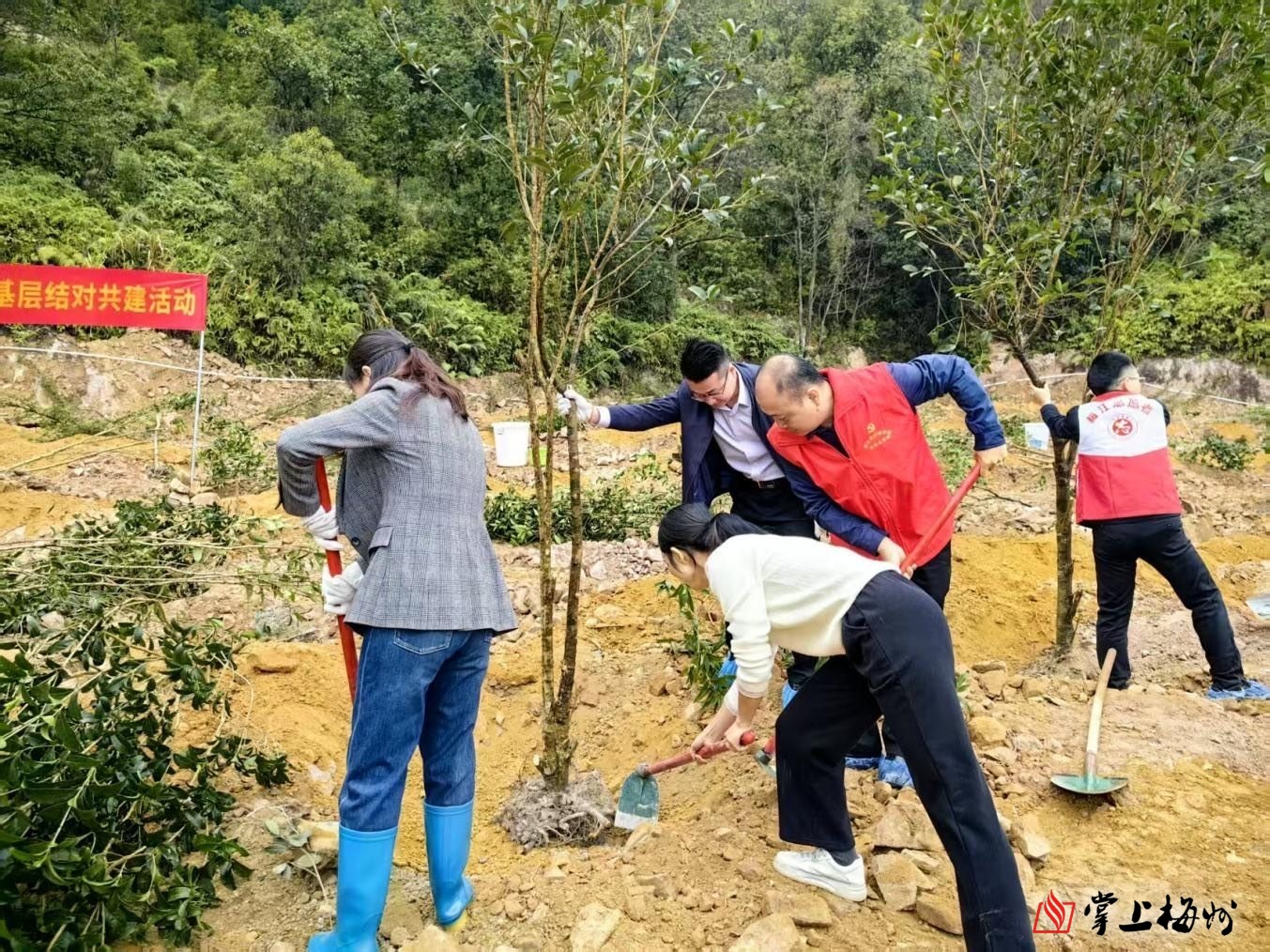轉存圖片