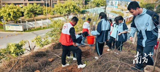 龍東社區植樹5.jpg