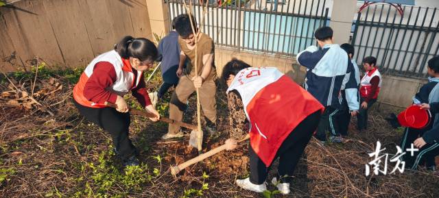 龍東社區植樹6.jpg