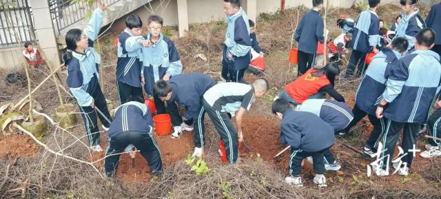 龍東社區植樹7.jpg