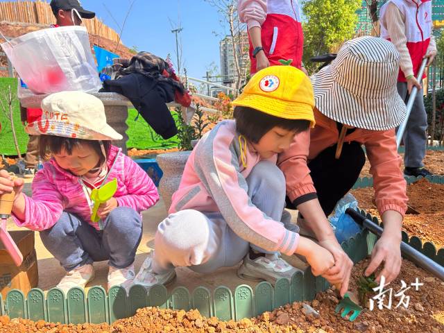 利園植樹3.jpg