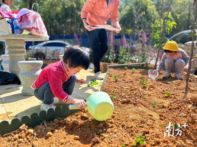 利園植樹4.jpg