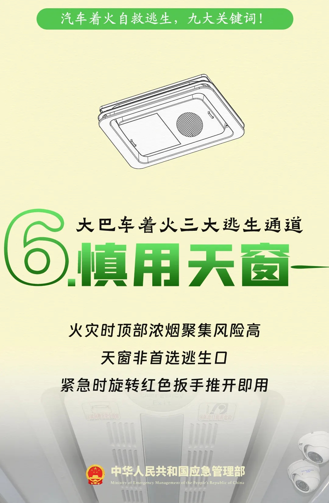 6.webp.jpg