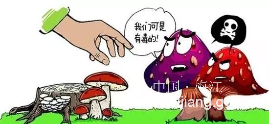 圖片4.png